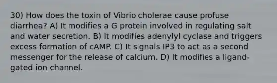 30) How does the toxin of Vibrio cholerae cause profuse diarrhea? A) It modifies a G protein involved in regulating salt and water secretion. B) It modifies adenylyl cyclase and triggers excess formation of cAMP. C) It signals IP3 to act as a second messenger for the release of calcium. D) It modifies a ligand-gated ion channel.