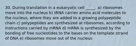 30. During translation in a eukaryotic cell _____. a) ribosomes move into the nucleus b) tRNA carries amino acid molecules to the nucleus, where they are added to a growing polypeptide chain c) polypeptides are synthesized at ribosomes, according to instructions carried by mRNA d) mRNA is synthesized by the bonding of free nucleotides to the bases on the template strand of DNA e) ribosomes move out of the nucleus