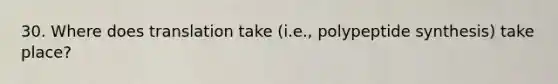 30. Where does translation take (i.e., polypeptide synthesis) take place?