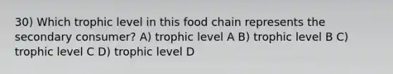 30) Which trophic level in this food chain represents the secondary consumer? A) trophic level A B) trophic level B C) trophic level C D) trophic level D