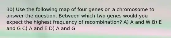 30) Use the following map of four genes on a chromosome to answer the question. Between which two genes would you expect the highest frequency of recombination? A) A and W B) E and G C) A and E D) A and G