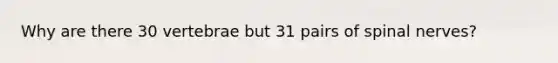 Why are there 30 vertebrae but 31 pairs of <a href='https://www.questionai.com/knowledge/kyBL1dWgAx-spinal-nerves' class='anchor-knowledge'>spinal nerves</a>?