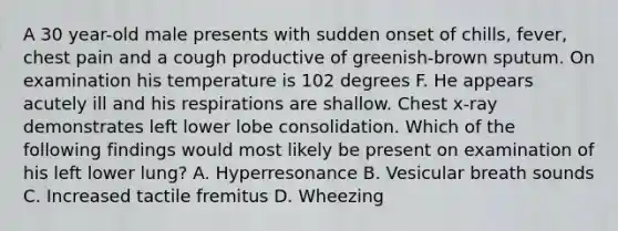 A 30 year-old male presents with sudden onset of chills, fever, chest pain and a cough productive of greenish-brown sputum. On examination his temperature is 102 degrees F. He appears acutely ill and his respirations are shallow. Chest x-ray demonstrates left lower lobe consolidation. Which of the following findings would most likely be present on examination of his left lower lung? A. Hyperresonance B. Vesicular breath sounds C. Increased tactile fremitus D. Wheezing