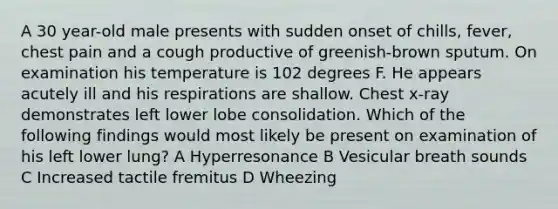 A 30 year-old male presents with sudden onset of chills, fever, chest pain and a cough productive of greenish-brown sputum. On examination his temperature is 102 degrees F. He appears acutely ill and his respirations are shallow. Chest x-ray demonstrates left lower lobe consolidation. Which of the following findings would most likely be present on examination of his left lower lung? A Hyperresonance B Vesicular breath sounds C Increased tactile fremitus D Wheezing