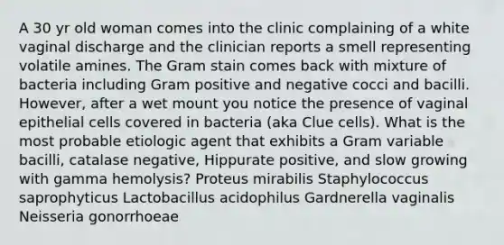 A 30 yr old woman comes into the clinic complaining of a white vaginal discharge and the clinician reports a smell representing volatile amines. The Gram stain comes back with mixture of bacteria including Gram positive and negative cocci and bacilli. However, after a wet mount you notice the presence of vaginal epithelial cells covered in bacteria (aka Clue cells). What is the most probable etiologic agent that exhibits a Gram variable bacilli, catalase negative, Hippurate positive, and slow growing with gamma hemolysis? Proteus mirabilis Staphylococcus saprophyticus Lactobacillus acidophilus Gardnerella vaginalis Neisseria gonorrhoeae