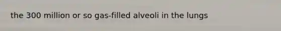 the 300 million or so gas-filled alveoli in the lungs