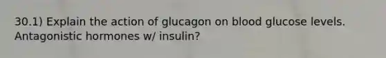 30.1) Explain the action of glucagon on blood glucose levels. <a href='https://www.questionai.com/knowledge/kcr9LyJFXS-antagonistic-hormones' class='anchor-knowledge'>antagonistic hormones</a> w/ insulin?