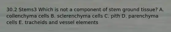 30.2 Stems3 Which is not a component of stem ground tissue? A. collenchyma cells B. sclerenchyma cells C. pith D. parenchyma cells E. tracheids and vessel elements