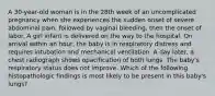 A 30-year-old woman is in the 28th week of an uncomplicated pregnancy when she experiences the sudden onset of severe abdominal pain, followed by vaginal bleeding, then the onset of labor. A girl infant is delivered on the way to the hospital. On arrival within an hour, the baby is in respiratory distress and requires intubation and mechanical ventilation. A day later, a chest radiograph shows opacification of both lungs. The baby's respiratory status does not improve. Which of the following histopathologic findings is most likely to be present in this baby's lungs?