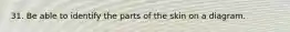 31. Be able to identify the parts of the skin on a diagram.