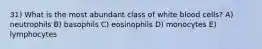 31) What is the most abundant class of white blood cells? A) neutrophils B) basophils C) eosinophils D) monocytes E) lymphocytes