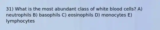 31) What is the most abundant class of white blood cells? A) neutrophils B) basophils C) eosinophils D) monocytes E) lymphocytes