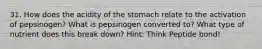 31. How does the acidity of the stomach relate to the activation of pepsinogen? What is pepsinogen converted to? What type of nutrient does this break down? Hint: Think Peptide bond!