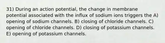 31) During an action potential, the change in membrane potential associated with the influx of sodium ions triggers the A) opening of sodium channels. B) closing of chloride channels. C) opening of chloride channels. D) closing of potassium channels. E) opening of potassium channels.