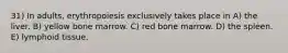 31) In adults, erythropoiesis exclusively takes place in A) the liver. B) yellow bone marrow. C) red bone marrow. D) the spleen. E) lymphoid tissue.