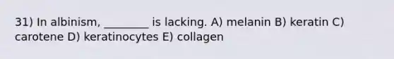 31) In albinism, ________ is lacking. A) melanin B) keratin C) carotene D) keratinocytes E) collagen