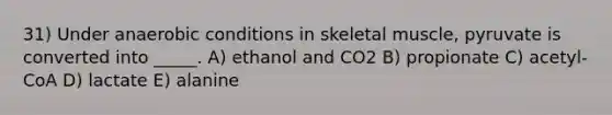 31) Under anaerobic conditions in skeletal muscle, pyruvate is converted into _____. A) ethanol and CO2 B) propionate C) acetyl-CoA D) lactate E) alanine