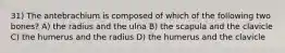 31) The antebrachium is composed of which of the following two bones? A) the radius and the ulna B) the scapula and the clavicle C) the humerus and the radius D) the humerus and the clavicle