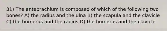 31) The antebrachium is composed of which of the following two bones? A) the radius and the ulna B) the scapula and the clavicle C) the humerus and the radius D) the humerus and the clavicle