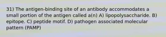 31) The antigen-binding site of an antibody accommodates a small portion of the antigen called a(n) A) lipopolysaccharide. B) epitope. C) peptide motif. D) pathogen associated molecular pattern (PAMP)