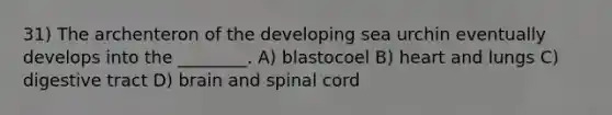 31) The archenteron of the developing sea urchin eventually develops into the ________. A) blastocoel B) heart and lungs C) digestive tract D) brain and spinal cord