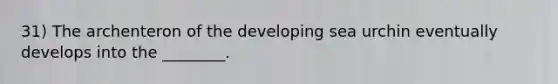 31) The archenteron of the developing sea urchin eventually develops into the ________.