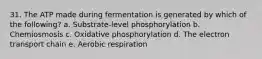 31. The ATP made during fermentation is generated by which of the following? a. Substrate-level phosphorylation b. Chemiosmosis c. Oxidative phosphorylation d. The electron transport chain e. Aerobic respiration