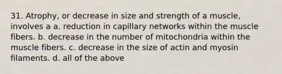 31. Atrophy, or decrease in size and strength of a muscle, involves a a. reduction in capillary networks within the muscle fibers. b. decrease in the number of mitochondria within the muscle fibers. c. decrease in the size of actin and myosin filaments. d. all of the above