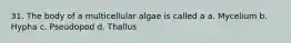 31. The body of a multicellular algae is called a a. Mycelium b. Hypha c. Pseudopod d. Thallus