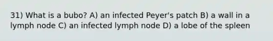 31) What is a bubo? A) an infected Peyer's patch B) a wall in a lymph node C) an infected lymph node D) a lobe of the spleen