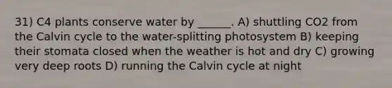 31) C4 plants conserve water by ______. A) shuttling CO2 from the Calvin cycle to the water-splitting photosystem B) keeping their stomata closed when the weather is hot and dry C) growing very deep roots D) running the Calvin cycle at night