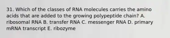 31. Which of the classes of RNA molecules carries the amino acids that are added to the growing polypeptide chain? A. ribosomal RNA B. transfer RNA C. messenger RNA D. primary mRNA transcript E. ribozyme