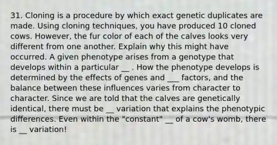 31. Cloning is a procedure by which exact genetic duplicates are made. Using cloning techniques, you have produced 10 cloned cows. However, the fur color of each of the calves looks very different from one another. Explain why this might have occurred. A given phenotype arises from a genotype that develops within a particular __ . How the phenotype develops is determined by the effects of genes and ___ factors, and the balance between these influences varies from character to character. Since we are told that the calves are genetically identical, there must be __ variation that explains the phenotypic differences. Even within the "constant" __ of a cow's womb, there is __ variation!