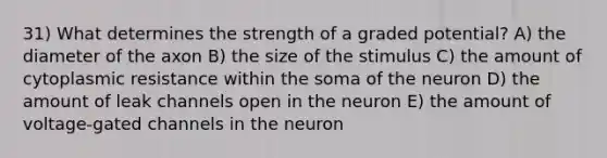 31) What determines the strength of a graded potential? A) the diameter of the axon B) the size of the stimulus C) the amount of cytoplasmic resistance within the soma of the neuron D) the amount of leak channels open in the neuron E) the amount of voltage-gated channels in the neuron