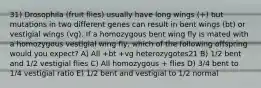 31) Drosophila (fruit flies) usually have long wings (+) but mutations in two different genes can result in bent wings (bt) or vestigial wings (vg). If a homozygous bent wing fly is mated with a homozygous vestigial wing fly, which of the following offspring would you expect? A) All +bt +vg heterozygotes21 B) 1/2 bent and 1/2 vestigial flies C) All homozygous + flies D) 3/4 bent to 1/4 vestigial ratio E) 1/2 bent and vestigial to 1/2 normal