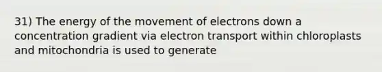 31) The energy of the movement of electrons down a concentration gradient via electron transport within chloroplasts and mitochondria is used to generate