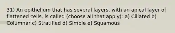 31) An epithelium that has several layers, with an apical layer of flattened cells, is called (choose all that apply): a) Ciliated b) Columnar c) Stratified d) Simple e) Squamous