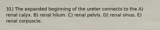 31) The expanded beginning of the ureter connects to the A) renal calyx. B) renal hilum. C) renal pelvis. D) renal sinus. E) renal corpuscle.