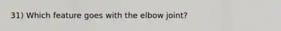 31) Which feature goes with the elbow joint?