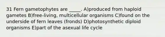 31 Fern gametophytes are _____. A)produced from haploid gametes B)free-living, multicellular organisms C)found on the underside of fern leaves (fronds) D)photosynthetic diploid organisms E)part of the asexual life cycle