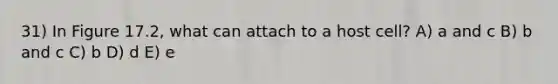 31) In Figure 17.2, what can attach to a host cell? A) a and c B) b and c C) b D) d E) e