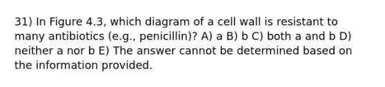 31) In Figure 4.3, which diagram of a cell wall is resistant to many antibiotics (e.g., penicillin)? A) a B) b C) both a and b D) neither a nor b E) The answer cannot be determined based on the information provided.