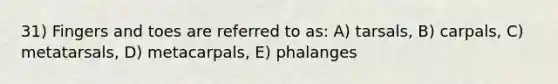 31) Fingers and toes are referred to as: A) tarsals, B) carpals, C) metatarsals, D) metacarpals, E) phalanges