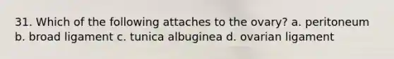 31. Which of the following attaches to the ovary? a. peritoneum b. broad ligament c. tunica albuginea d. ovarian ligament