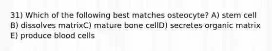 31) Which of the following best matches osteocyte? A) stem cell B) dissolves matrixC) mature bone cellD) secretes organic matrix E) produce blood cells