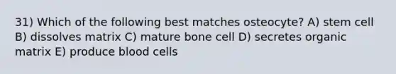 31) Which of the following best matches osteocyte? A) stem cell B) dissolves matrix C) mature bone cell D) secretes organic matrix E) produce blood cells