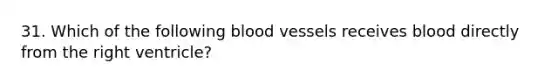 31. Which of the following blood vessels receives blood directly from the right ventricle?