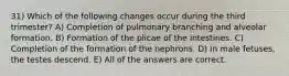 31) Which of the following changes occur during the third trimester? A) Completion of pulmonary branching and alveolar formation. B) Formation of the plicae of the intestines. C) Completion of the formation of the nephrons. D) In male fetuses, the testes descend. E) All of the answers are correct.