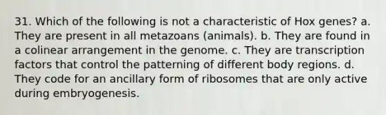 31. Which of the following is not a characteristic of Hox genes? a. They are present in all metazoans (animals). b. They are found in a colinear arrangement in the genome. c. They are transcription factors that control the patterning of different body regions. d. They code for an ancillary form of ribosomes that are only active during embryogenesis.