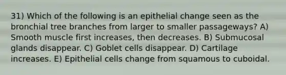 31) Which of the following is an epithelial change seen as the bronchial tree branches from larger to smaller passageways? A) Smooth muscle first increases, then decreases. B) Submucosal glands disappear. C) Goblet cells disappear. D) Cartilage increases. E) Epithelial cells change from squamous to cuboidal.